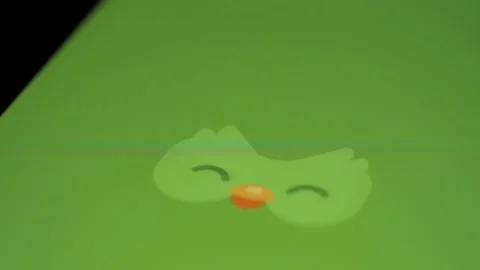 Finger touching smartphone screen and open Duolingo app. Close up shot Stock Footage 295252798