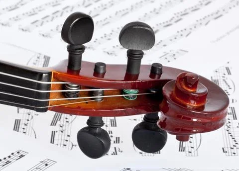 Fingerboard Stock Photos
