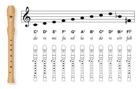 Fingering Chart Recorder Basic Covered Holes Tuned In C Music Chart Stock Illustration