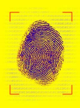 Fingerprint against yellow background with binary numbers Foto stock