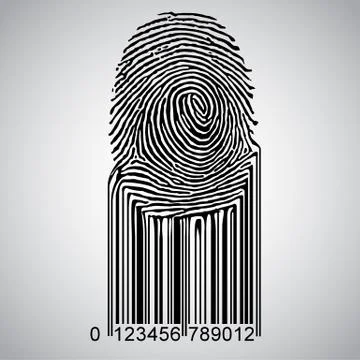 Fingerprint becoming barcode, vector. Stock Illustration