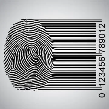 Fingerprint becoming barcode vector illustration. 스톡 일러스트