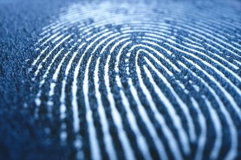 Fingerprint Biometric 3D Digital Data Security Illustrazione stock