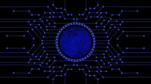 Fingerprint Biometric Authentication Works Video Animated Background Stock Footage 342783560