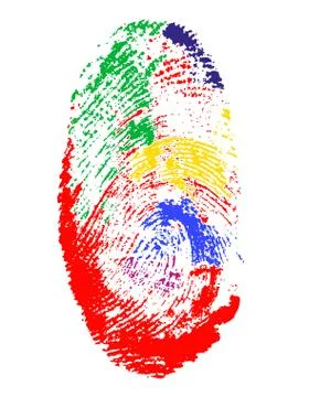 Fingerprint of different colors vector illustration Stock Illustration