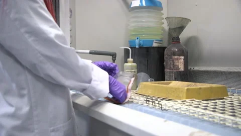 FIngerprint 動画素材 237601067