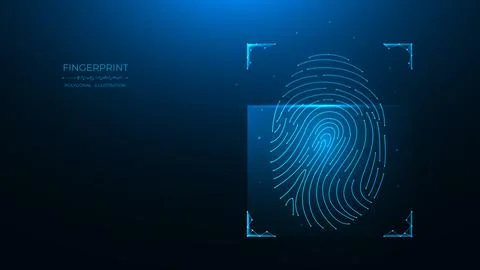 Fingerprint identification concept. Polygonal vector illustration of scanning Stock Illustration