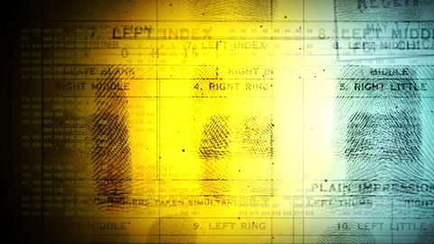 Fingerprint Identification Process Chart on Official Document Background Stock Footage 337763276