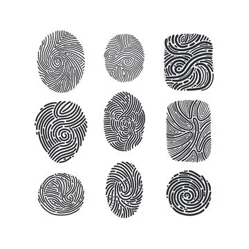Fingerprint identification. Vector abstract set Illustrazione stock