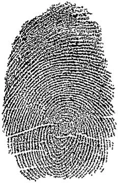 Fingerprint Stock Illustration