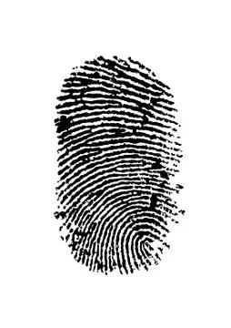 Fingerprint Stock Illustration