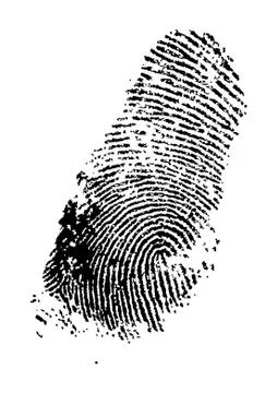 Fingerprint Stock Illustration