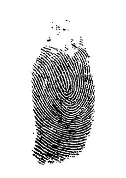 Fingerprint Stock Illustration