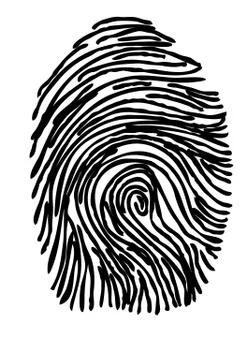 Fingerprint Stock Illustration
