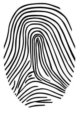 Fingerprint Stock Illustration