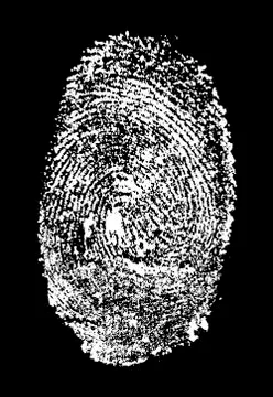 Fingerprint Stock Illustration