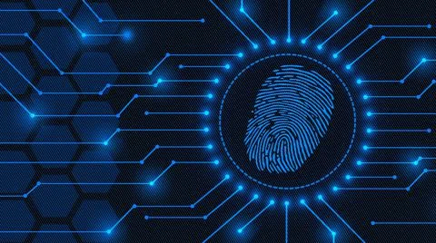 Fingerprint logo between information connecting lines - background in blue イラスト素材
