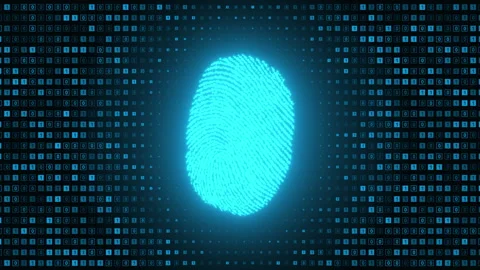Fingerprint made with binary code Biometrics identification and approval Stock Footage 342301690