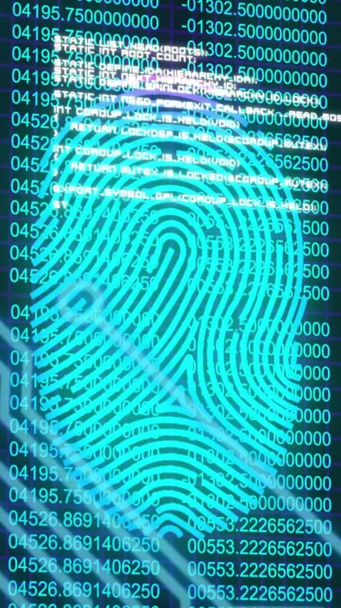 Fingerprint overlay on code background, illustrating animation of cybersecurity Stock Footage 319617362