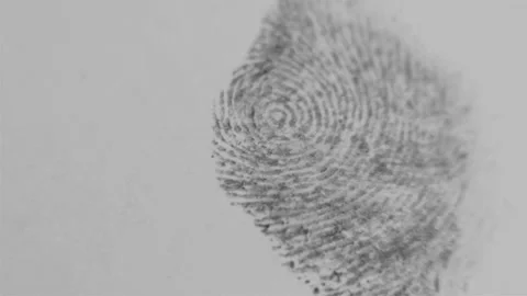 Fingerprint. Papillary pattern.Privacy and personal data concept. Vidéo 154339741