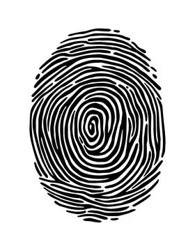 Fingerprint pattern in black lines. Vector illustration Stock Illustration