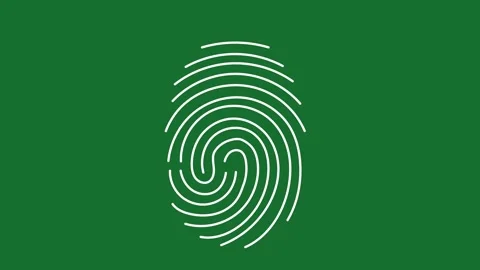 Fingerprint Pattern Graphic | Black Swirl Identity Texture Element Stock-Footage 322104024