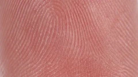 A fingerprint pattern of a person under a microscope Stock Footage 90767622