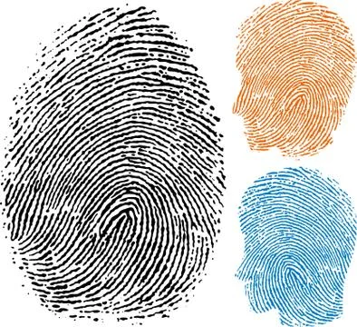 Fingerprint. Personal identity face in three versions Stock Illustration