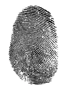 Fingerprint Foto stock