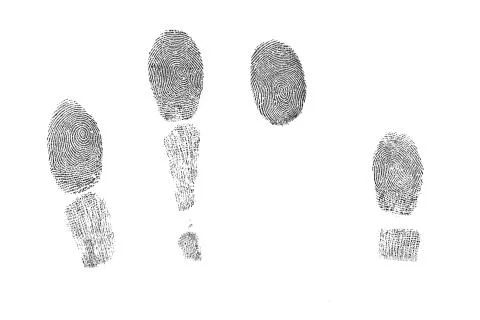 Fingerprint Stock Photos