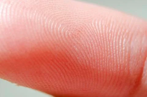 Fingerprint Stock Photos