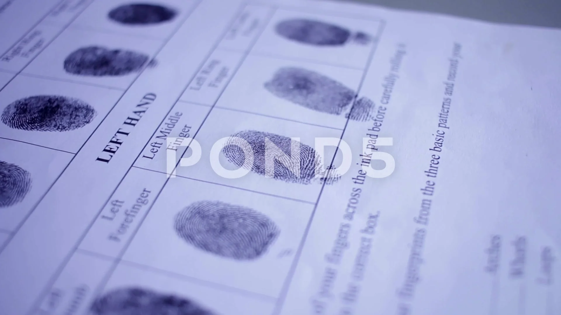 Документ дактилоскопия иностранных. Документ дактилоскопия иностранных. Дактилоскопическая карта иностранного гражданина. Зеленая карта дактилоскопия. Документ дактилоскопия иностранных.