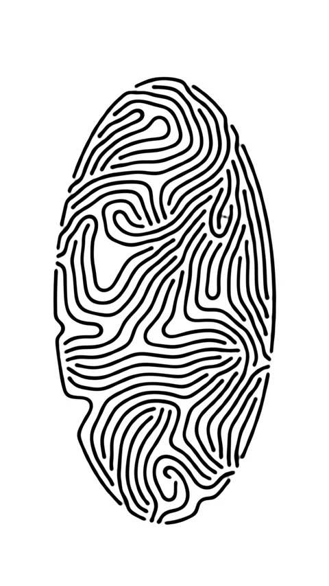 Fingerprint. Reaction diffusion organic growing pattern. Cell division scie.. Stock Footage 272775318