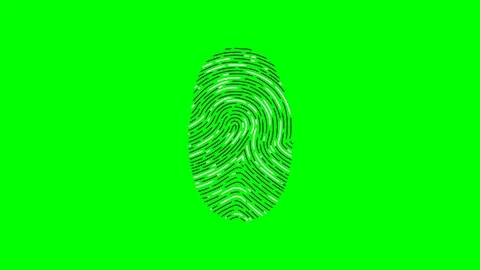 Fingerprint recognition. Scanner showing 3 types of patterns. Green screen. Stock Footage 82700401