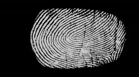 Fingerprint scan Stock Footage 646684