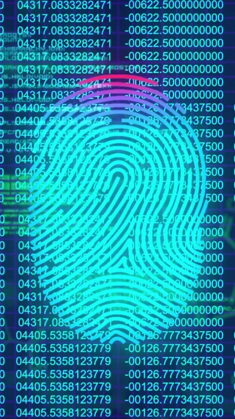 Fingerprint scanning animation over digital binary code background Video stock 343091764