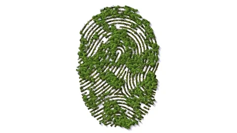 Fingerprint of trees 3d background. Stock Footage 293491524