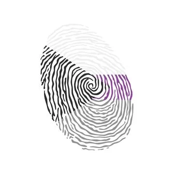 Fingerprint vector colored with the Demisexual pride flag isolated on white.. Stock Illustration