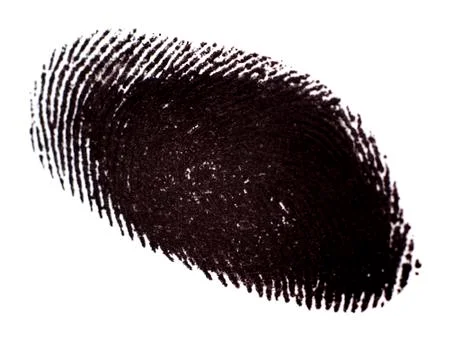Fingerprint on White Background Stock Photos