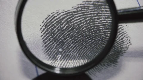 Fingerprints are investigated on fingerprint card. Macro shot. Stock Footage