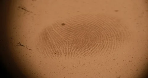 Fingerprints on a Glass Stock Footage 183585291