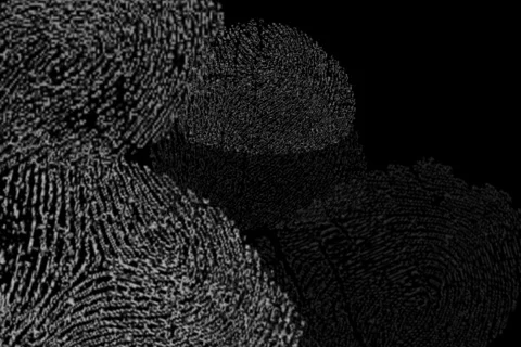 Fingerprints loop alpha Stock-Footage 641719