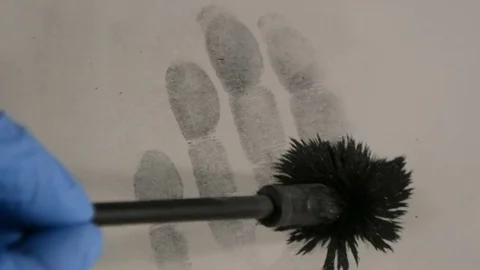 Fingerprints, Magnetic Powder Applicator develops latent  print on grey paper 스톡 동영상 83959630