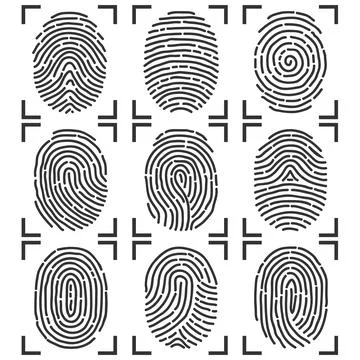 Fingerprints, a set of fingerprints in a frame. Stock-Illustration