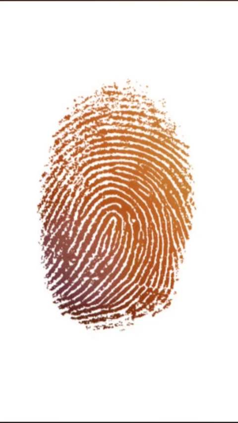Fingerprints stop motion animation. Digital security concept Video stock 303886726