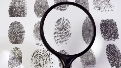 Fingerprints on a white background. Forensics science 動画素材 303886831