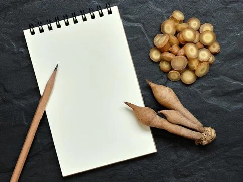 Fingerroot, Kaempfer with Open Blank Notebook and Pencil on Black Background, Stock-Fotos