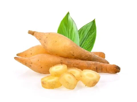 Fingerroot with leaf on white background Fotos Stock