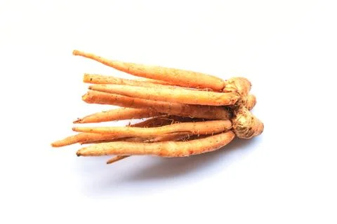 Fingerroot or Kaempfer 스톡 사진