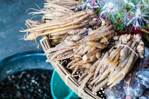 Fingerroot Stock Photos